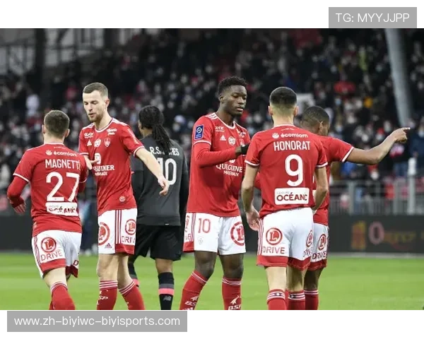 法甲波尔多球员Vukasin资料